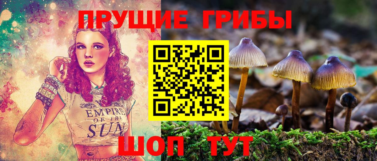 Галлюциногенные грибы прущие грибы  Вход с VPN  Долгопрудный 