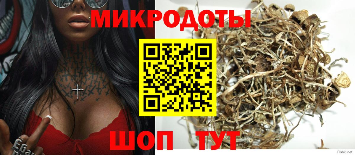 Псилоцибиновые грибы мицелий Долгопрудный